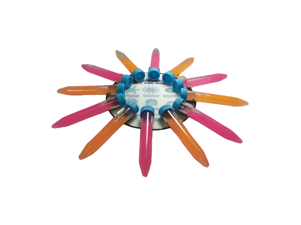 Set of colorful markers arranged in a circular pattern on a white background